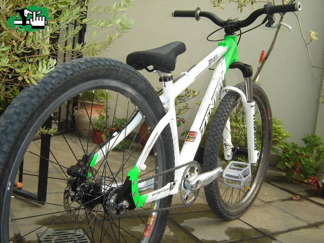 saga mx