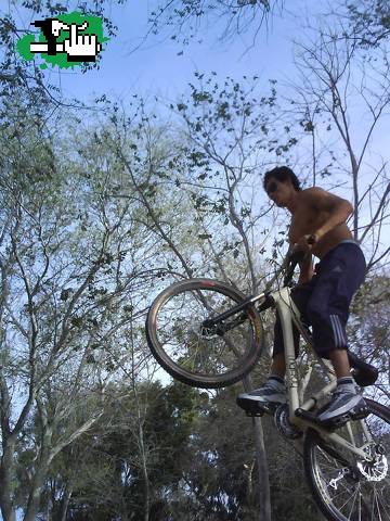 Salto