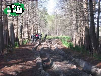 Otamendi en MTbike