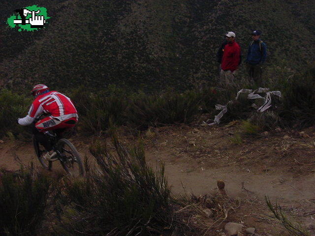 Open de mza !