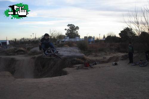 street shark's mauri