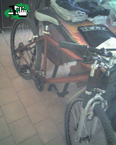 MI KLETA NUEVA