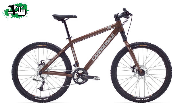 BICI SE BUSCA