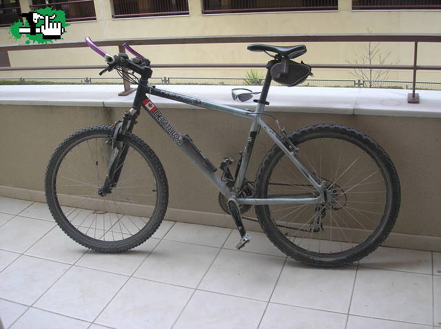 MI BURRA