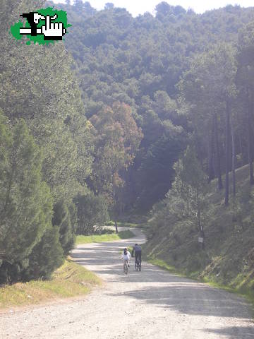MONTES  MALAGA