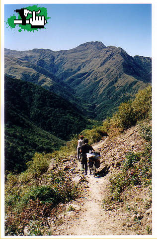 Puna - Yungas 2008