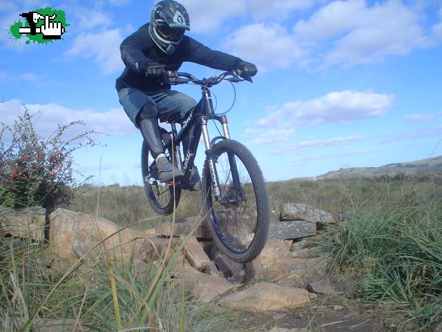 Finde en tandil