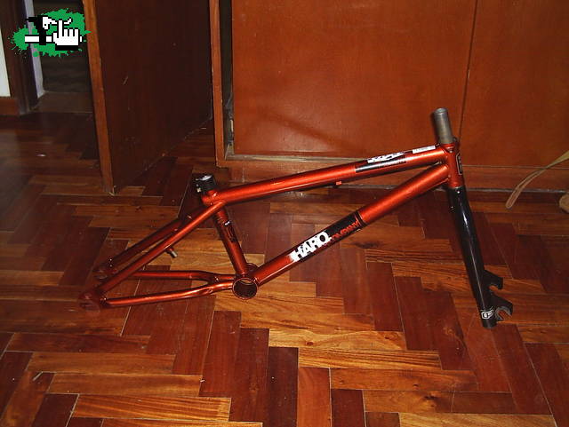 santy_pro_93