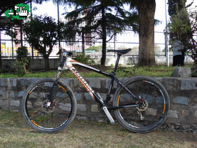 Cannondale taurine 2008