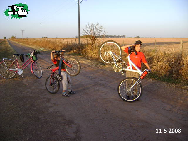 Los mejores wilis