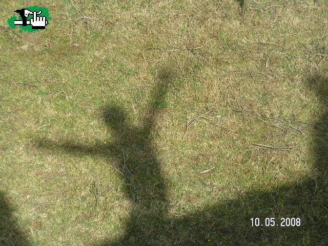 La sombra de Alechan