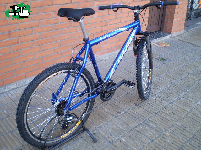 Alox Race