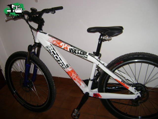 scott