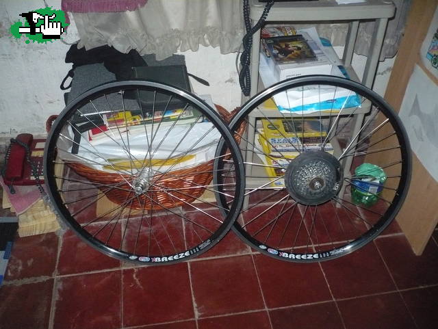 Unas Dohnsas