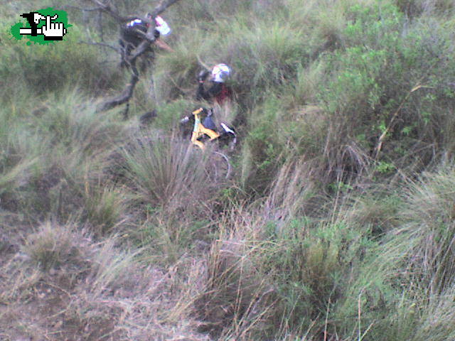 RESCATANDO AL PANCHERO ARIEL...