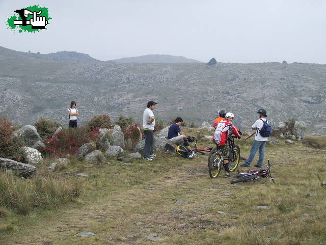 DH TANDIL
