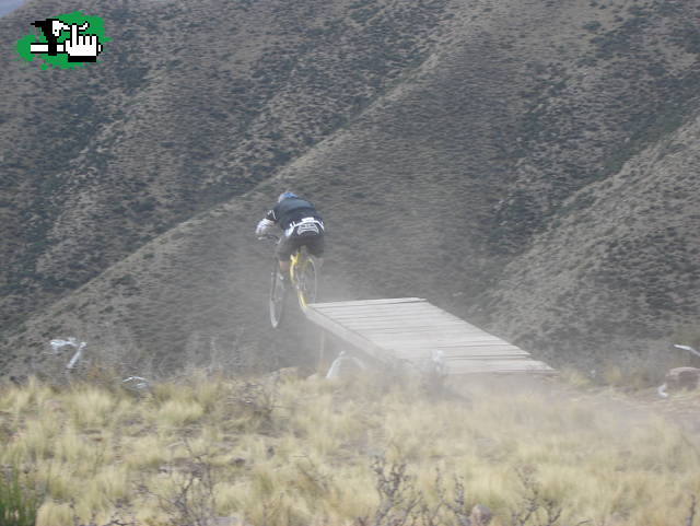 potrerillos