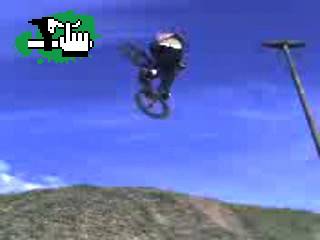 tomy en un spot tandilense "invert"