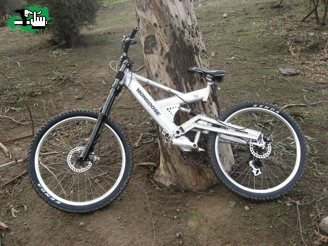 THE MOTORIDE