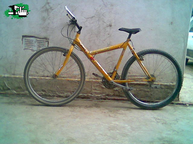 Fisher XT 800 18' vel.