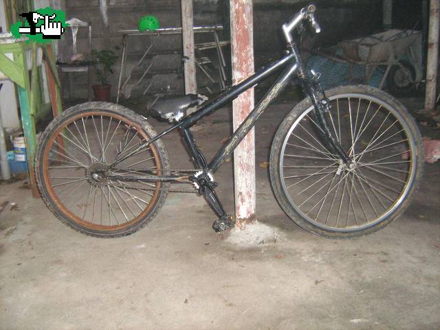 trial casera virtual