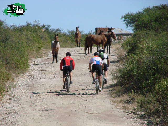 en busca de hp