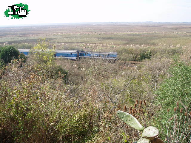 Locos del Pedal : V.Rosa -Zelaya-L.Verde-Otamendi-C.del Señor