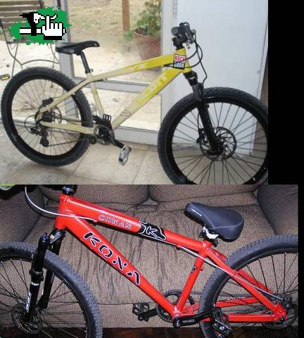Q prefiern Scott o kona