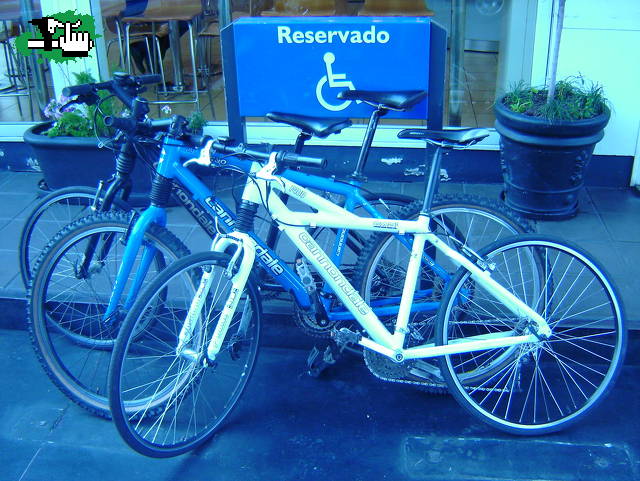 cannondale evolution