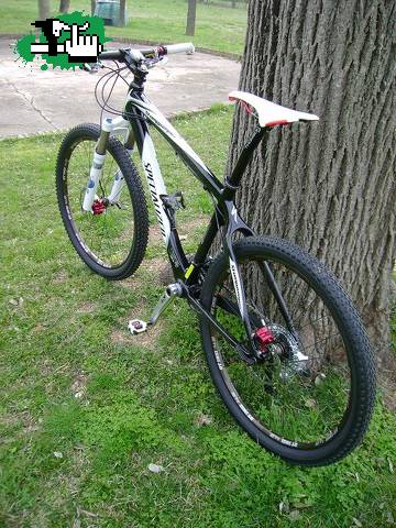 bellezas de españa, specialized b