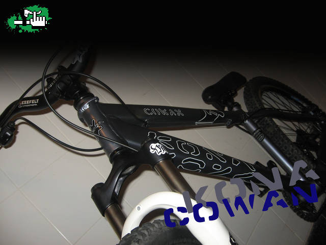 fondo cowan 