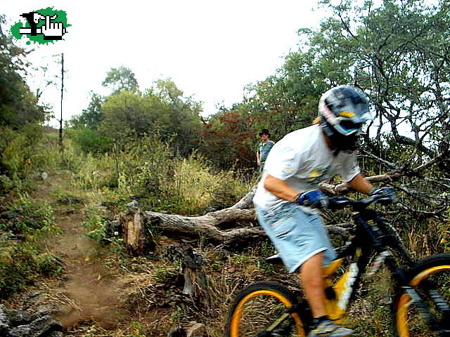 YOP EN VILLA LA PUNTA