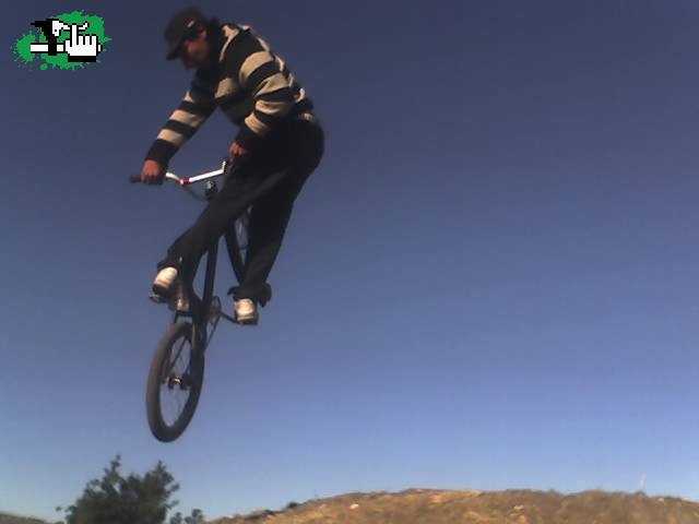 tomi