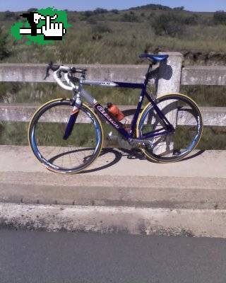 Mi Giant ocr