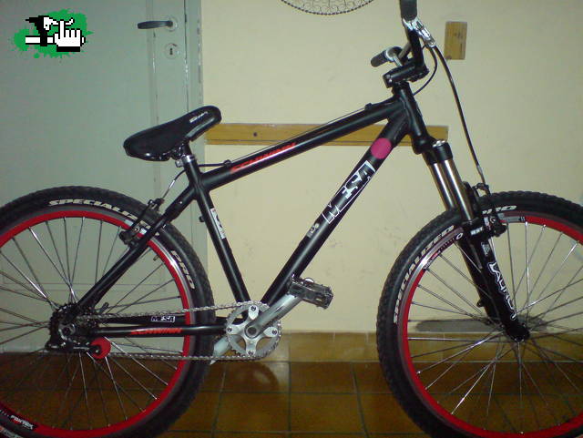 Que Opinan?