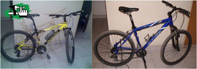 Con cual se quedan?