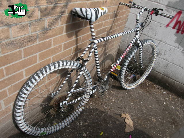 Bicizebra