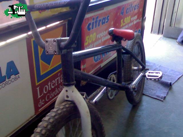 bike check...6 meses sin andar :-(