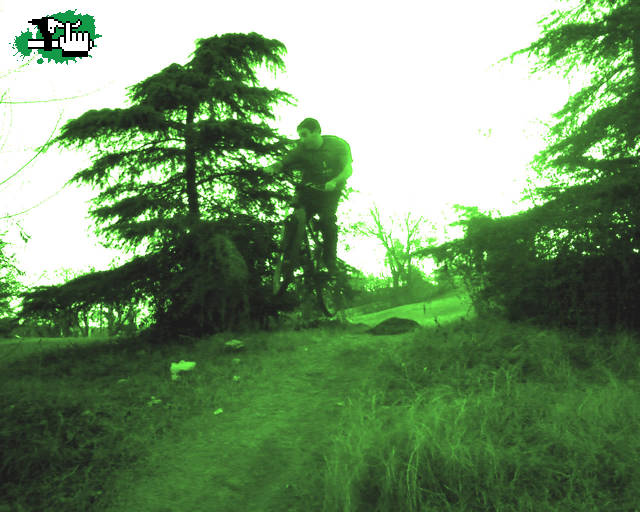 Tarde verde