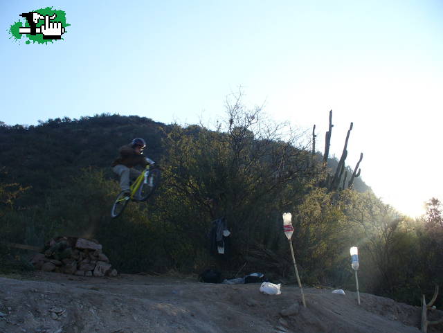 macho volando en los morteross