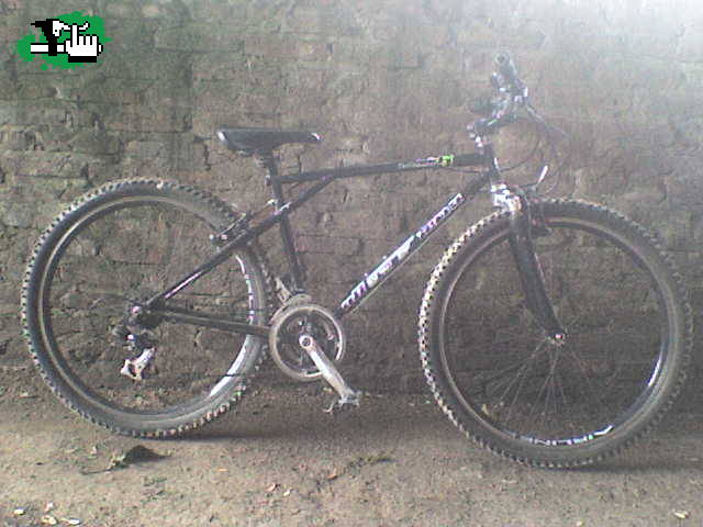 que les parece???
