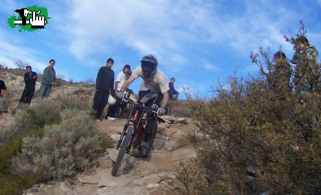 dh neuquen
