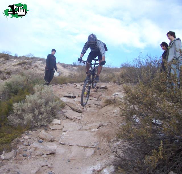 dh neuquen