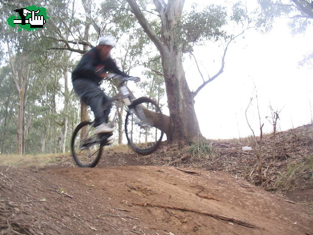 Andino 1