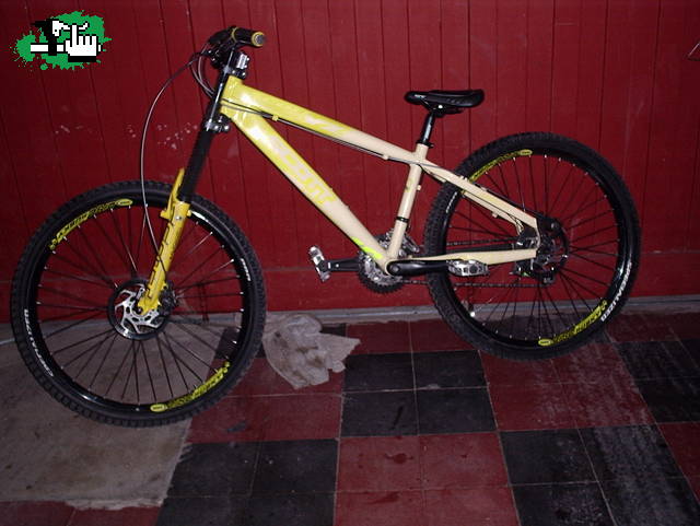 my scott yz0