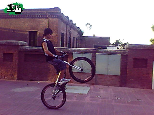 Mi Trial 
