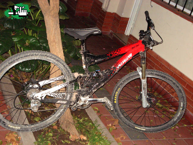 Mi nueva SX