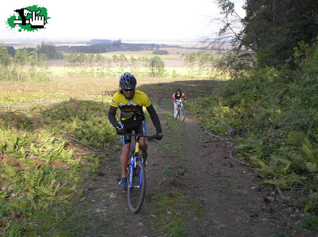 en el circuito 