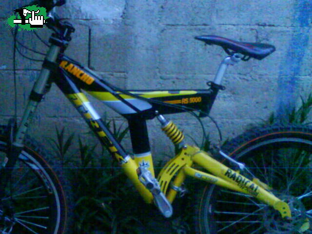 QUE COLOR?????