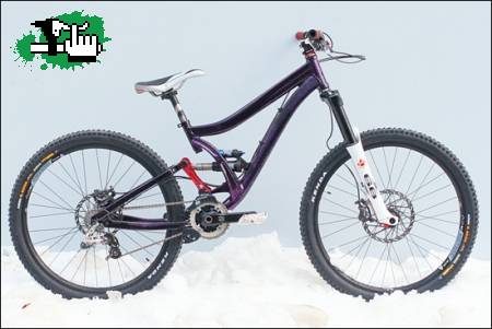 NORCO!